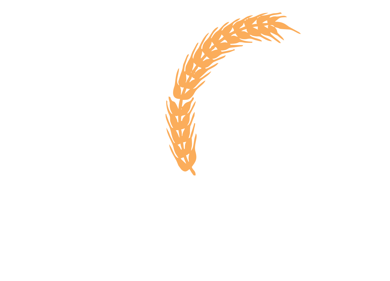 HHI 30 Years Logo